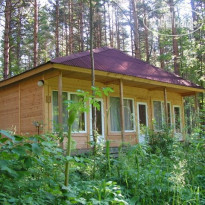 Деревня Александровка 