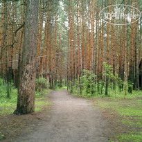 Заря 