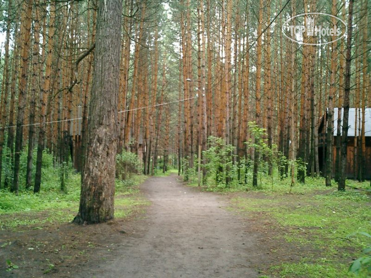 New photos from tourists Заря
