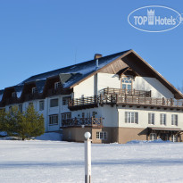 New Kovcheg 