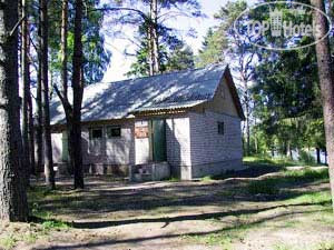 Сокол
