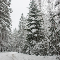 Royal Seliger (закрыт) 