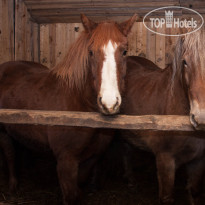 Royal Seliger (закрыт) 