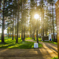 Green Gold Park
