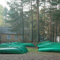 Чайка