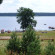 Заполек 