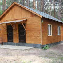 Дружба
