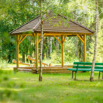 Салынь