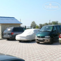 Папайя 