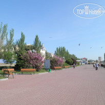 Три сосны Центральная набережная Феодоси