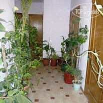 Международный холл эконом.класса