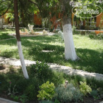 Альтернатива 