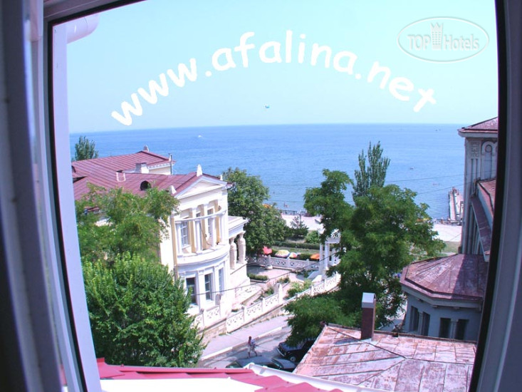 New photos from tourists Афалина