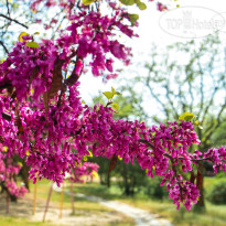 Crimean Prymorie