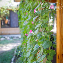 База отдыха Коронелли 