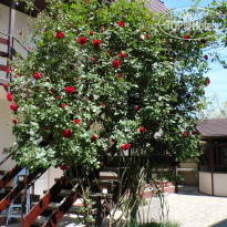Guest House Breez 