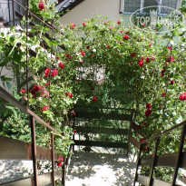 Guest House Breez 