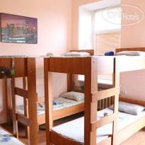 Веселый Дельфин (закрыт) Номер