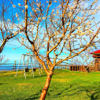 Апартаменты у моря "Виктория" 