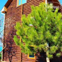 Апартаменты у моря "Виктория" 