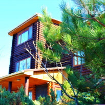 Апартаменты у моря "Виктория" 