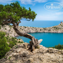 Fiolent Village Ange tur