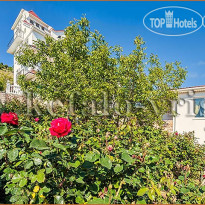 Кефало Вриси 