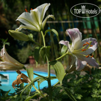 Гостевой Дом К&Т 