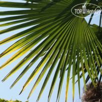 Гостевой Дом К&Т 