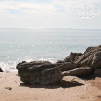 Черноморская Ривьера 