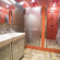 Crazy Dog Hostel 