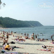 Янтарный берег 