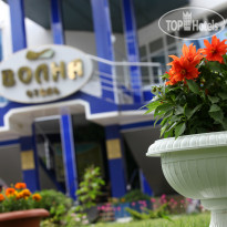 Волна