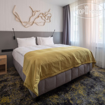 Amber Shore Collection 