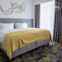 Amber Shore Collection 