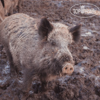 Иваново Озеро 