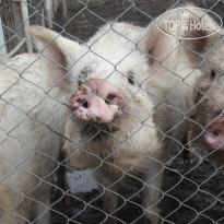 Иваново Озеро 