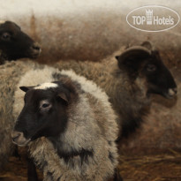 Иваново Озеро 