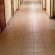 Fresh Hostel 