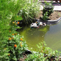 Интурист СПА (закрыт) 