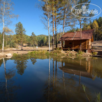 Таёжная Заимка Лесная Сказка 