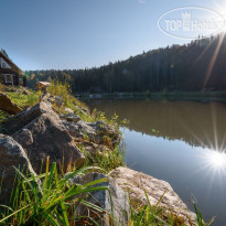 Таёжная Заимка Лесная Сказка 