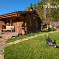 Таёжная Заимка Лесная Сказка 