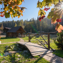 Таёжная Заимка Лесная Сказка 