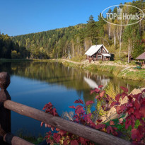 Таёжная Заимка Лесная Сказка 