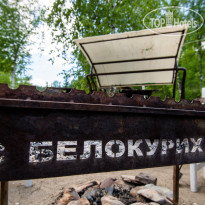 Таёжная Заимка Лесная Сказка 
