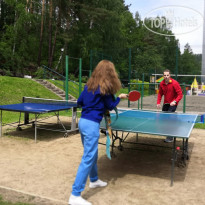 На камушках Настольный теннис