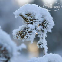 Отель Белокуриха   