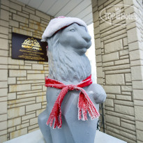 Отель Белокуриха   