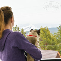 Отель Белокуриха   